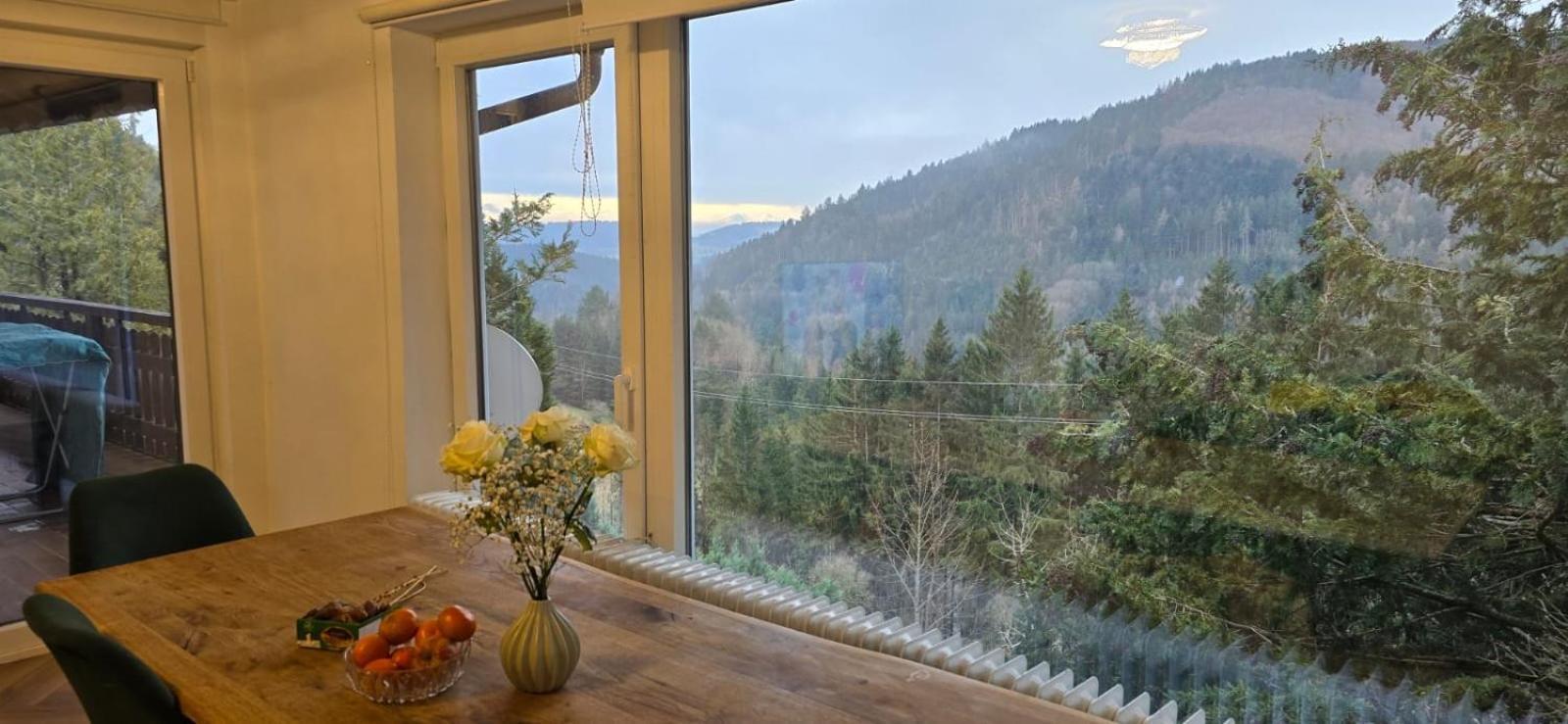 Wohnung Im Schwarzwald Mit Panorama Blick Kleines Wiesental Extérieur photo