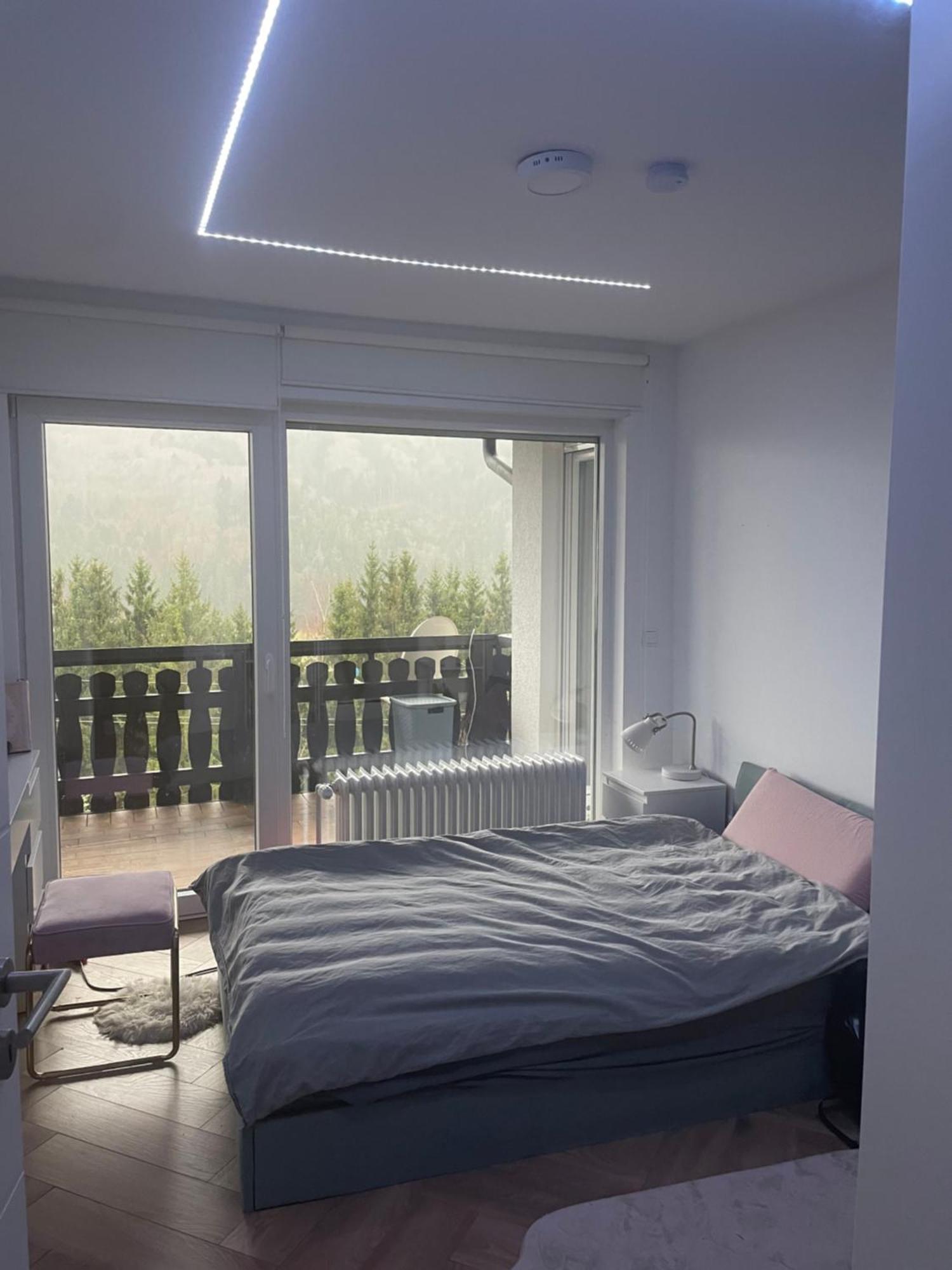 Wohnung Im Schwarzwald Mit Panorama Blick Kleines Wiesental Extérieur photo