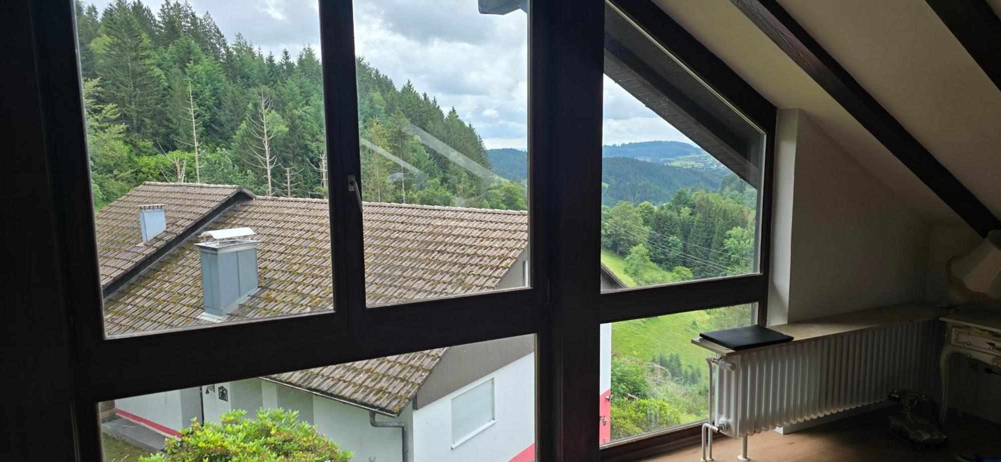 Wohnung Im Schwarzwald Mit Panorama Blick Kleines Wiesental Extérieur photo